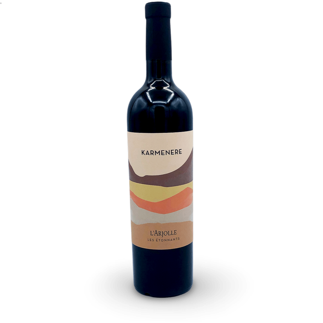 LANGUEDOC DOMAINE DE L’ARJOLLE KARMENERE 2022 – Image 2