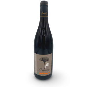 LOIRE REUILLY ROUGE DOMAINE BIGONNEAU 2023
